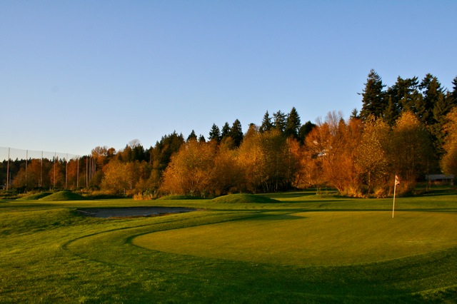 Golf_Course_Green