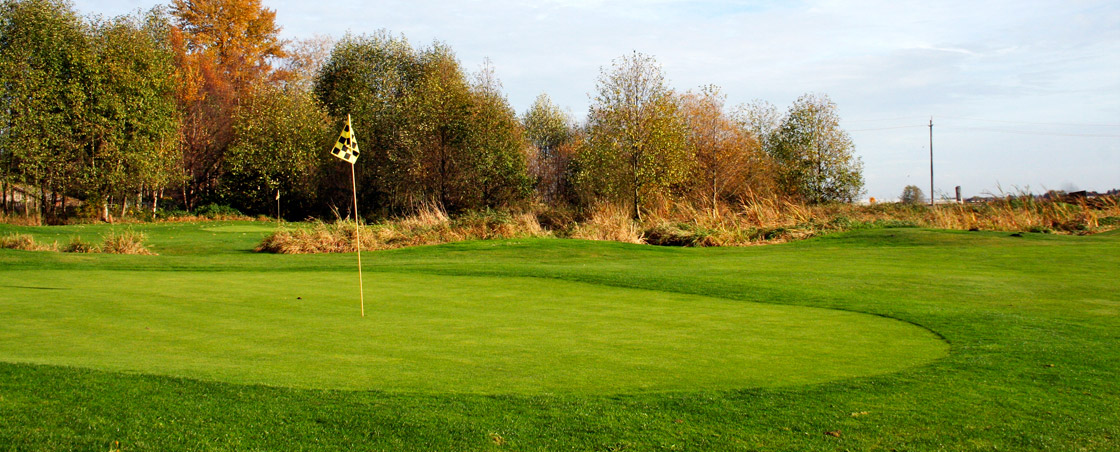 view of golf course with trees